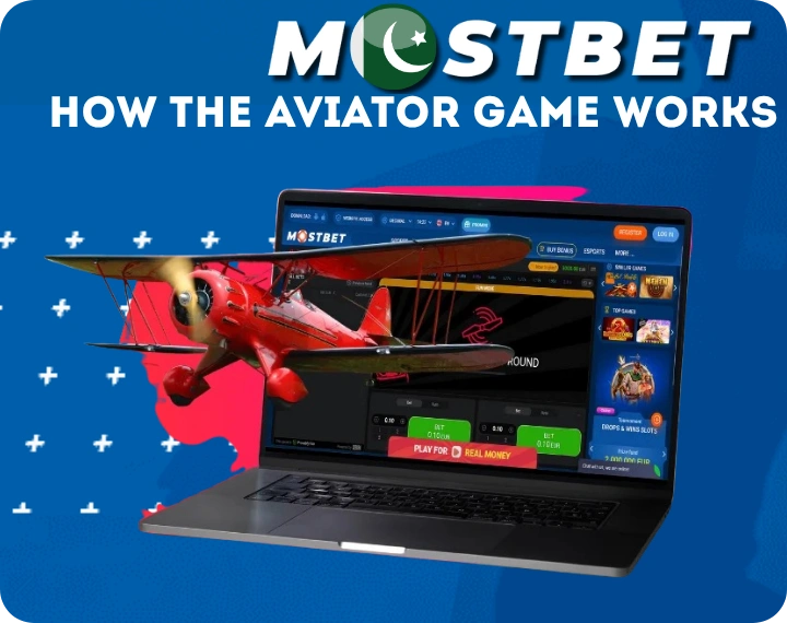 How the Aviator Game Works